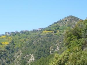 منظر من ضواحي  دراع قبيلة  29