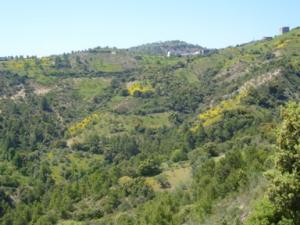 منظر من ضواحي  دراع قبيلة  37