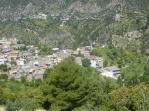 منظر من ضواحي  دراع قبيلة  45