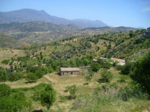 صورة لقرية  ثاكلياث  بضواحي بلدية  دراع قبيلة  9