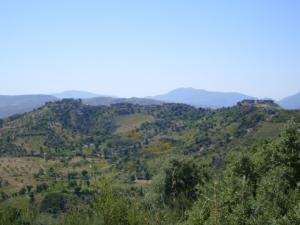 منظر طبيعي بضواحي قرية  ثاكلياث  (بلدية  دراع قبيلة)