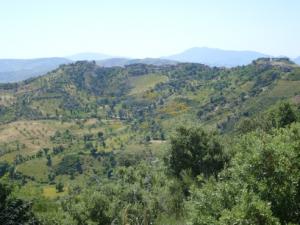 منظر طبيعي بضواحي قرية  ثاكلياث  (بلدية  دراع قبيلة) 3