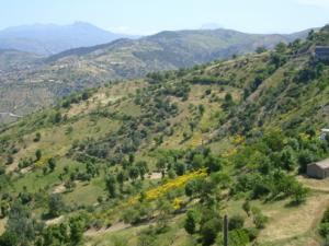 منظر طبيعي بضواحي قرية  ثاكلياث  (بلدية  دراع قبيلة) 7