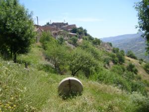 منظر طبيعي بضواحي قرية  ثاكلياث  (بلدية  دراع قبيلة) 12