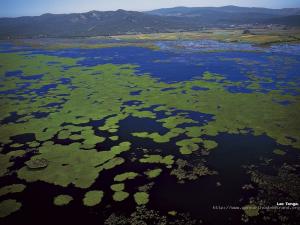 صورة من بحيرة  طونڨة  ببلدية القالة (ولاية الطارف)