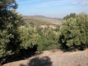 منظر من بلدية أمال (ولاية بومرداس)