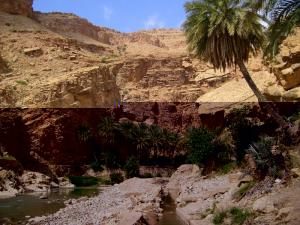 مناظر خلابة لواحات بسكرة 1