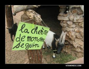 حديقة الحيوانات بمدينة تلمسان