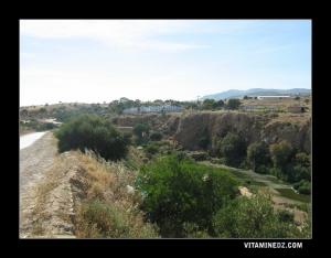 منظر من بلدية  حمام شيڨر