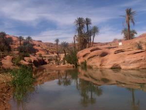 واحات وادي  تيوت