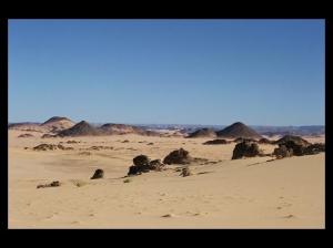 صورة ل عرق آدمر  (ولاية إليزي)