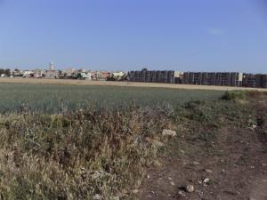 منظر من ضواحي مدينة الحروش