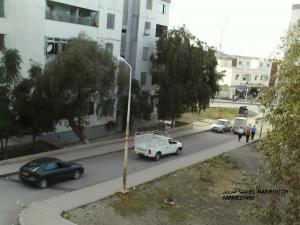 شوارع مدينة الحروش (4)