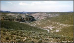 صورة من ضواحي بلدية نمامشة