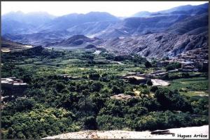 منظر خلاب من غابات  واد العابدي  بولاية باتنة