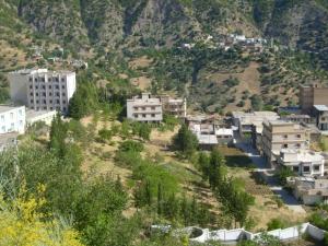 منظر من غابات  المروج  (3)