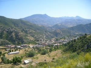 منظر من غابات  المروج  (4)