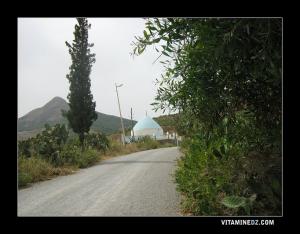 ضريح سيدي محمد السوفي بقرية  سوق الثلاثاء