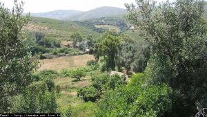 منظر طبيعي بضواحي شاطئ  بلفدار  (ولاية عنابة)