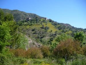 منظر طبيعي بضواحي بلدية دراع قبيلة (14)