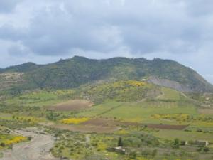 منظر طبيعي بضواحي بلدية دراع قبيلة 32