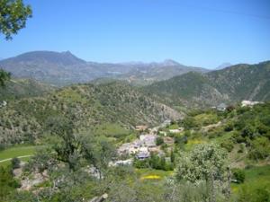 منظر طبيعي بضواحي بلدية دراع قبيلة4