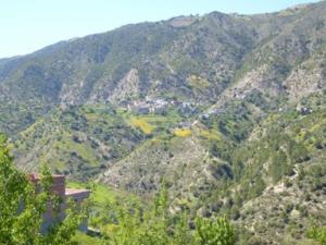 منظر طبيعي بضواحي بلدية دراع قبيلة5