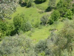 منظر طبيعي بضواحي بلدية دراع قبيلة18