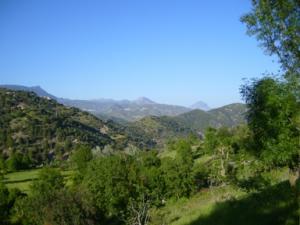 منظر طبيعي بضواحي بلدية دراع قبيلة-3-