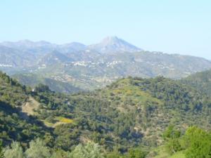 منظر طبيعي بضواحي بلدية دراع قبيلة -2