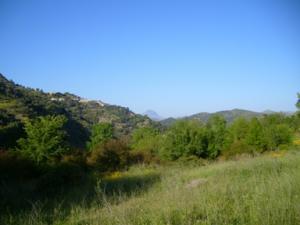 منظر خلاب بضواحي بلدية 