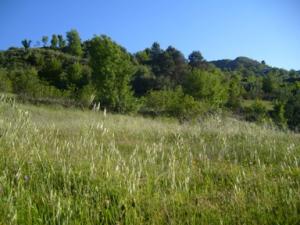 منظر خلاب بضواحي بلدية 