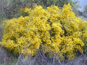 منظر خلاب بضواحي بلدية 