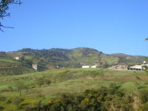 منظر خلاب بضواحي بلدية 