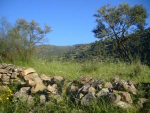 منظر خلاب بضواحي بلدية 