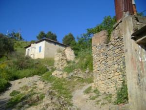 منظر من ضواحي بلدية 