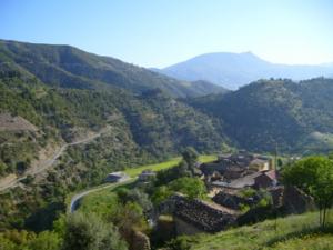 منظر من ضواحي بلدية 