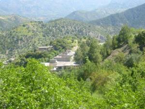 صورة من ضواحي بلدية 