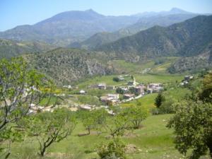 صورة من ضواحي بلدية 