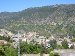 صورة من ضواحي بلدية 