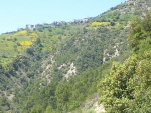 منظر من ضواحي 