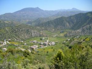 منظر من ضواحي 