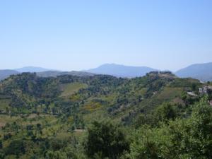 منظر طبيعي بضواحي قرية 