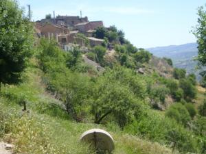 منظر طبيعي بضواحي قرية 