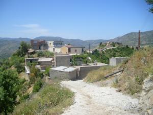 صرة لأحياء قرية 