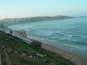 صورة من شاطئ 