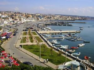 صورة من ساحل 