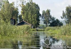 منظر خلاب من 