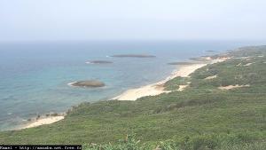 صوة لساحل  المسيدة  (ولاية الطارف)