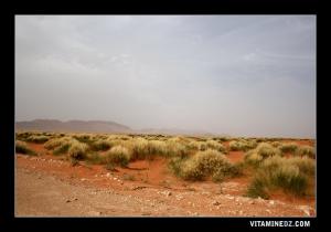 مدخل بلدية  عسلة